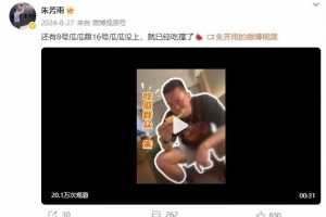 v体育app-谜语时隔1年揭晓！朱芳雨去年8月曾发博：还有8号&amp;16号瓜瓜没上